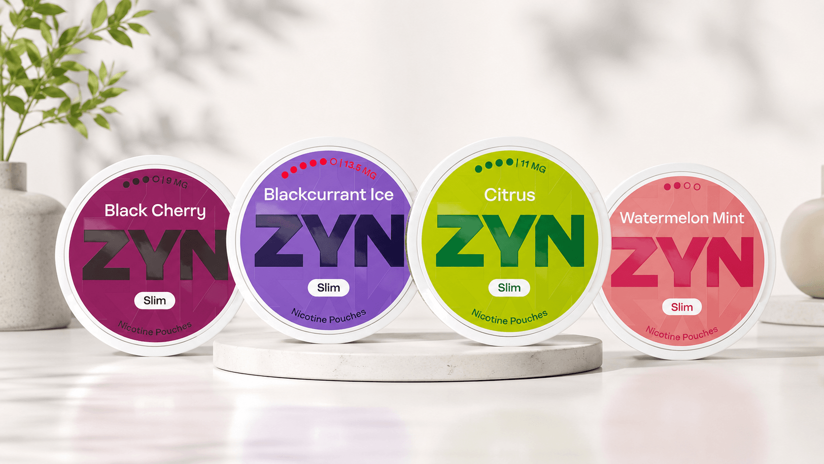 Swedish ZYN and VELO nicotine pouch product update at CanPouch