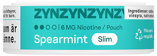 ZYN Spearmint 6mg can label